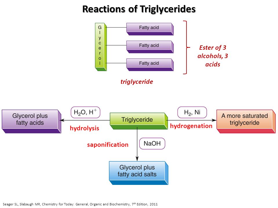 Reactions of Triglycerides