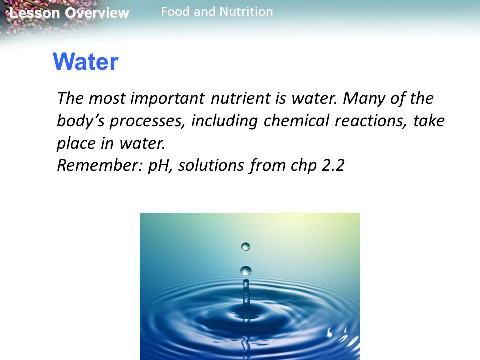 Water The most important nutrient is water. Many of the body’s processes, including chemical reactions, take place in water.