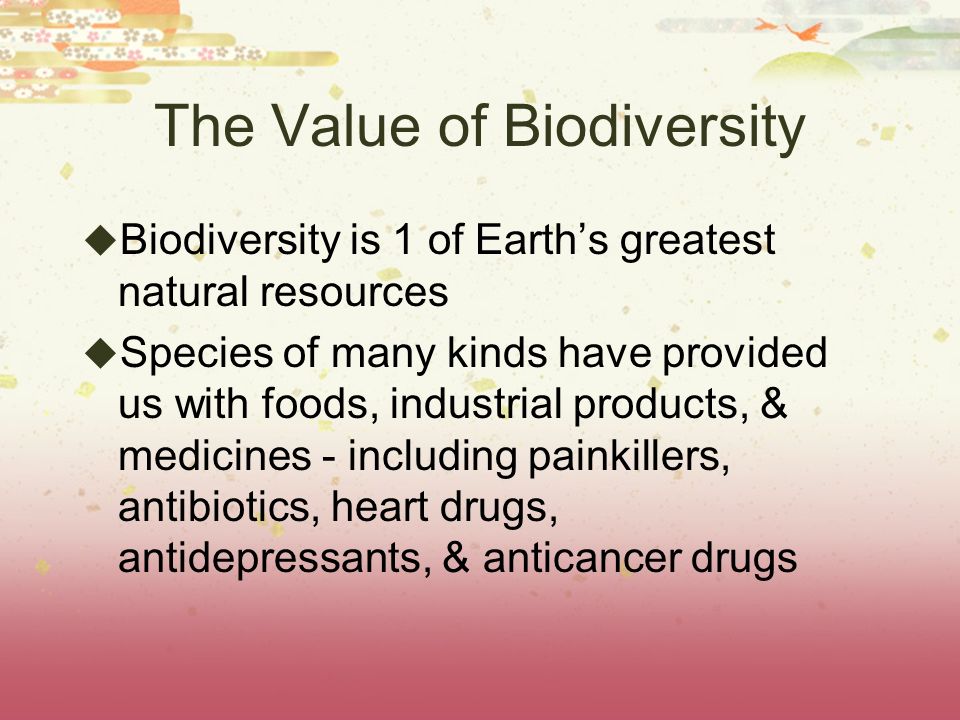 The Value of Biodiversity