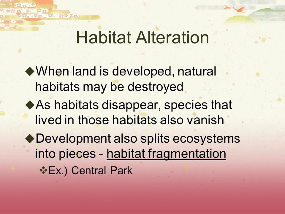 Habitat Alteration When land is developed, natural habitats may be destroyed.