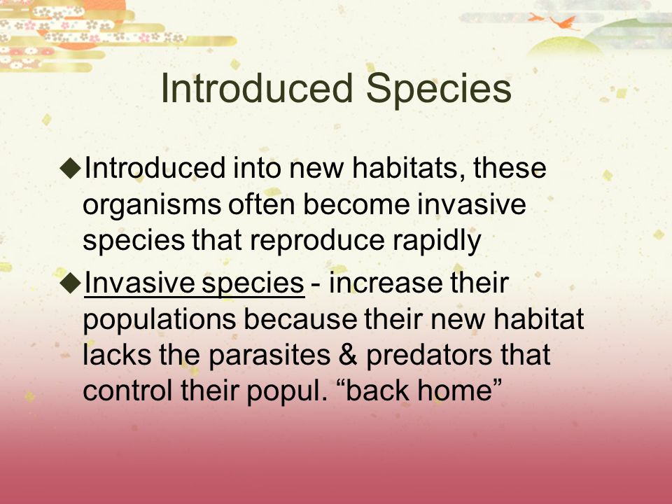 Introduced Species Introduced into new habitats, these organisms often become invasive species that reproduce rapidly.