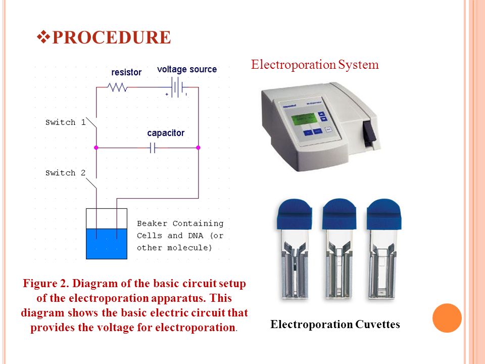 Electroporation And Microneedles Ppt Video Online Download
