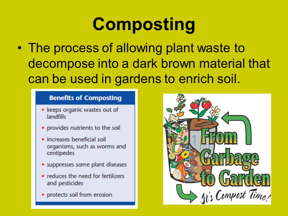 Composting The process of allowing plant waste to decompose into a dark brown material that can be used in gardens to enrich soil.