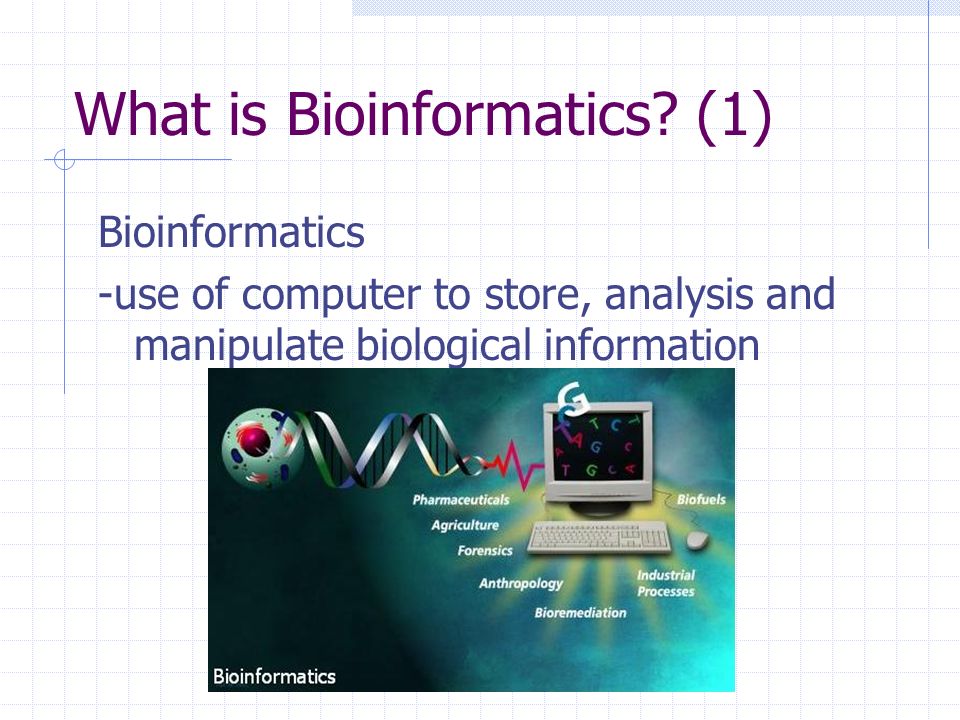 Development Of Bioinformatics And Its Application On Biotechnology Ppt Video Online Download