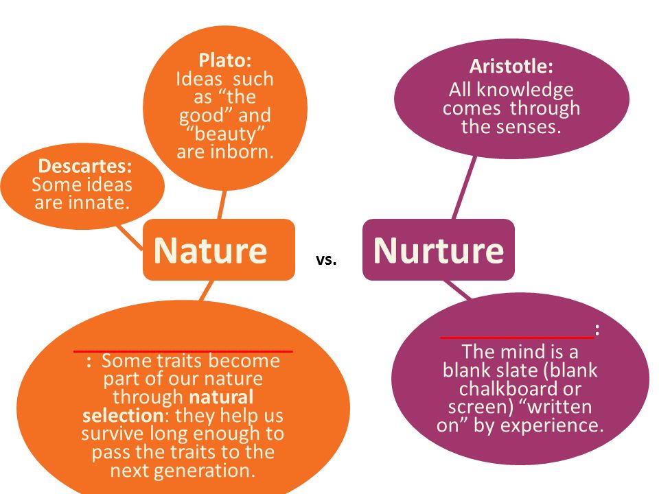 Nature Vs Nurture Comparison Chart