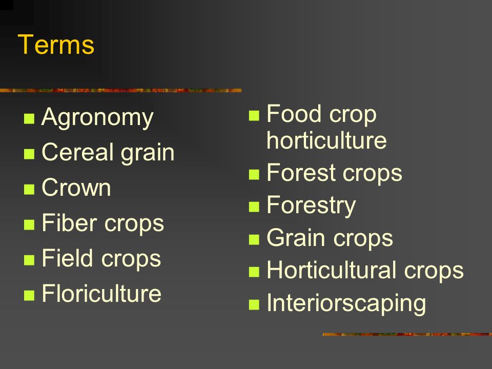 Agronomy and horticulture difference