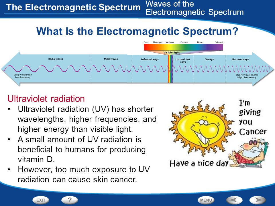 What Is the Electromagnetic Spectrum