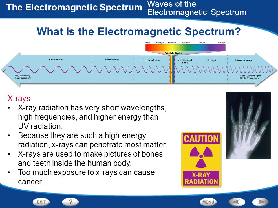What Is the Electromagnetic Spectrum