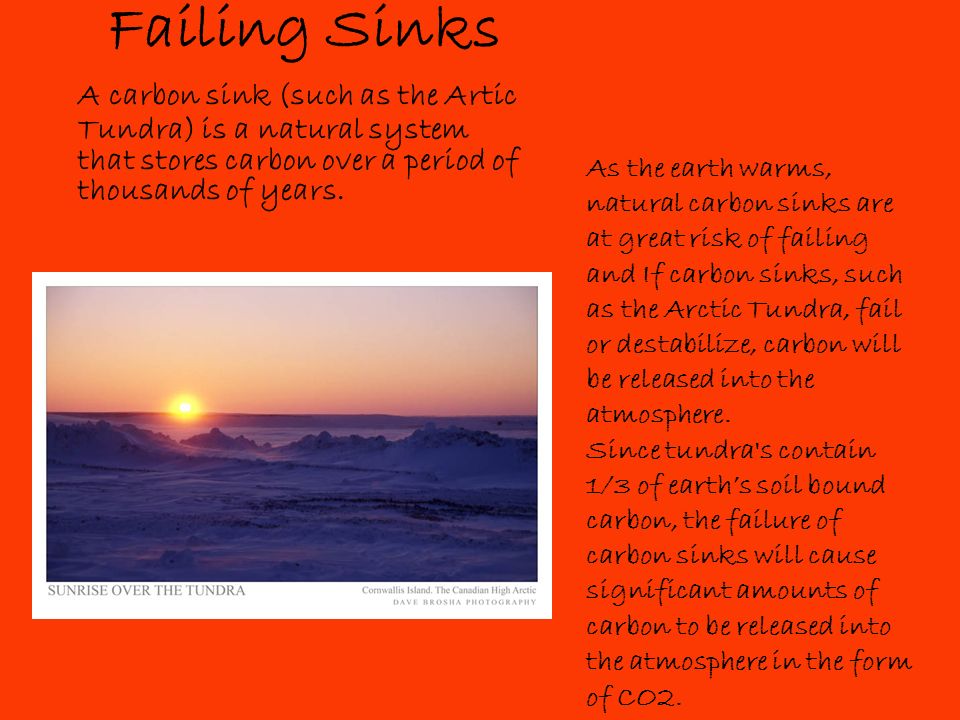 Failing Sinks A carbon sink (such as the Artic Tundra) is a natural system that stores carbon over a period of thousands of years.