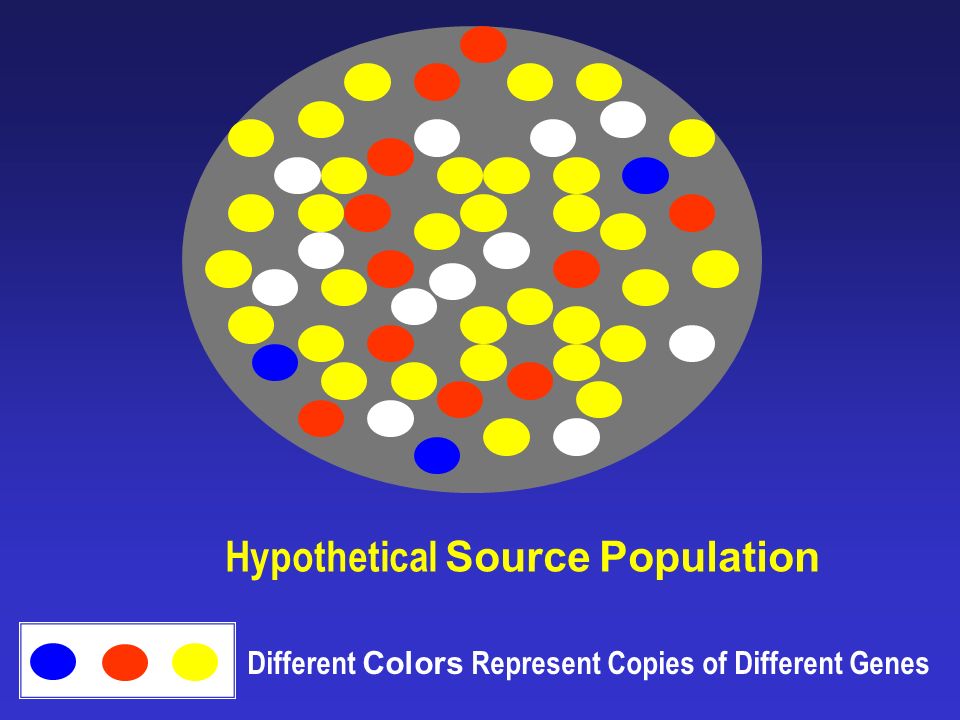 Hypothetical Source Population