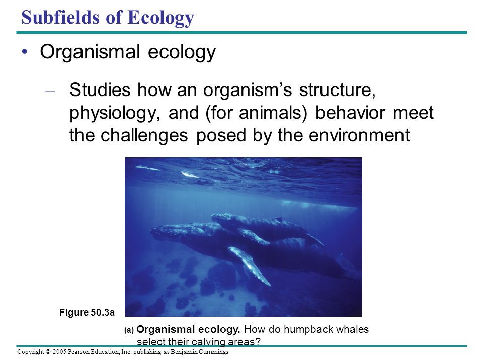 An Introduction to Ecology and the Biosphere - ppt download