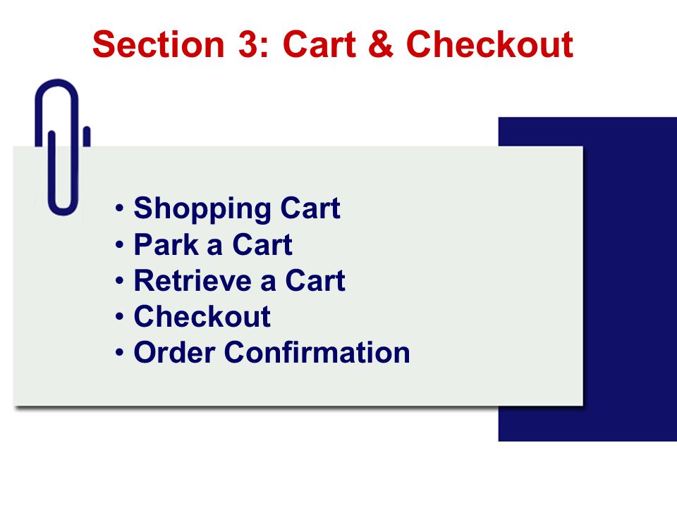 Section 3: Cart & Checkout