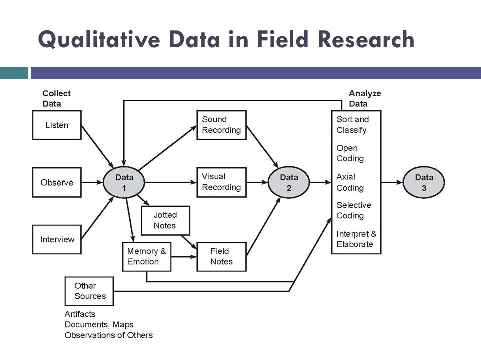 Qualitative Data in Field Research