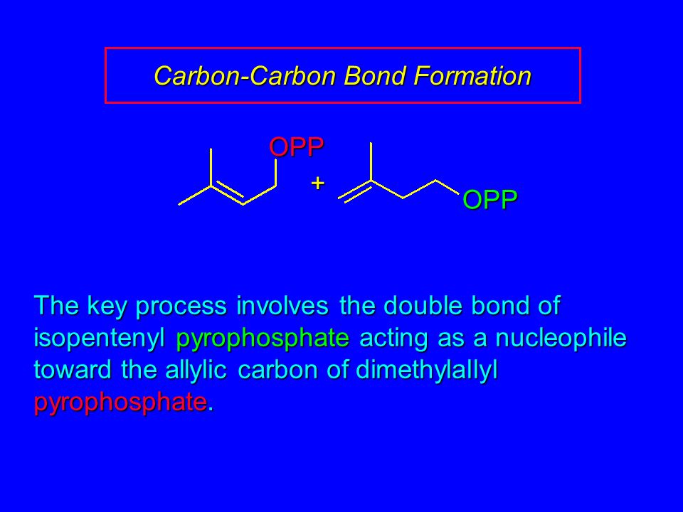 Carbon-Carbon Bond Formation