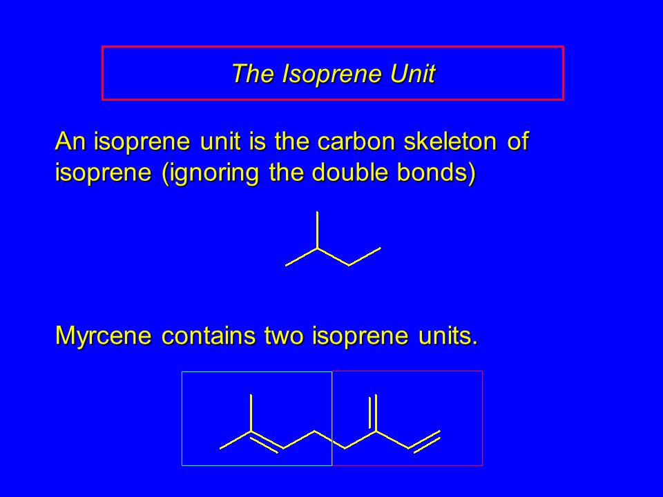 The Isoprene Unit An isoprene unit is the carbon skeleton of isoprene (ignoring the double bonds) Myrcene contains two isoprene units.