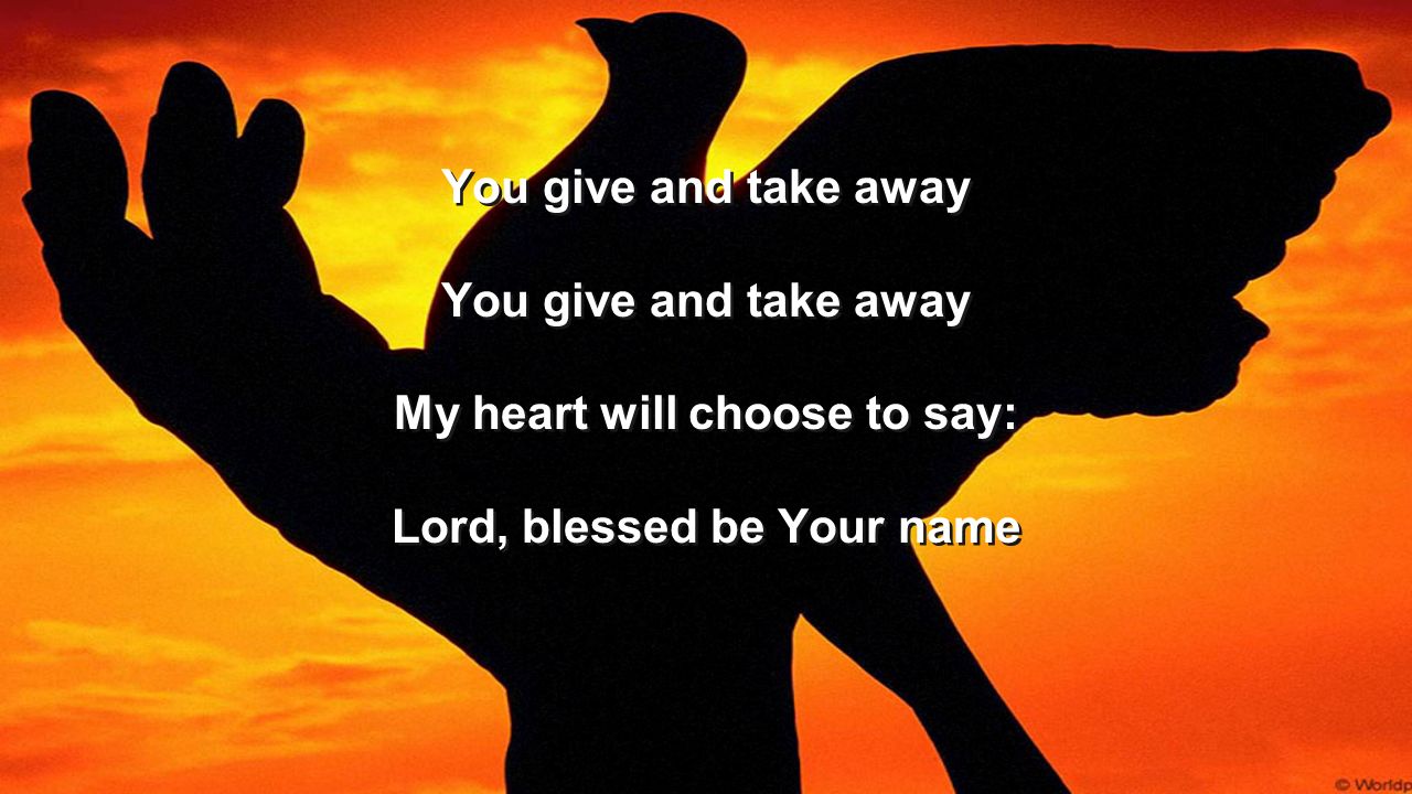 My heart will choose to say: Lord, blessed be Your name