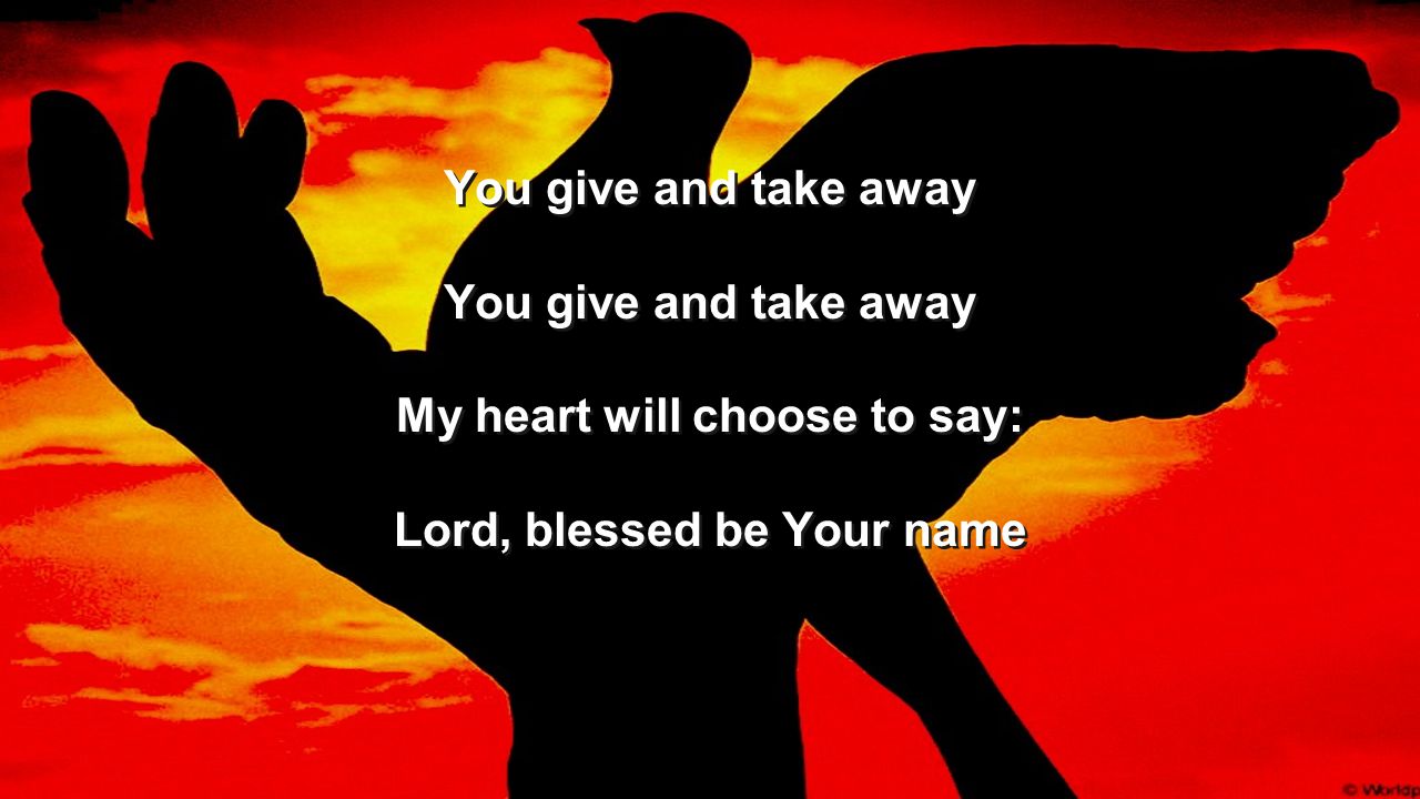 My heart will choose to say: Lord, blessed be Your name