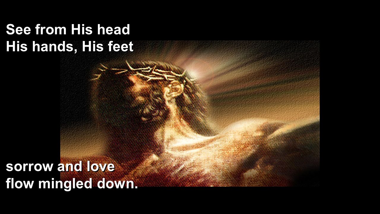 See from His head His hands, His feet sorrow and love