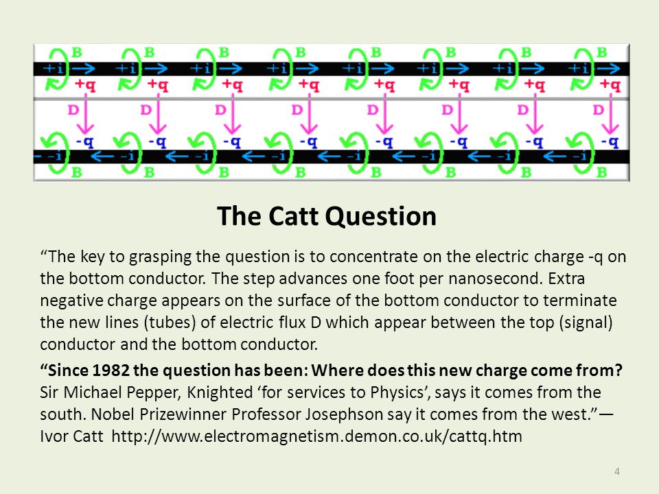 The Catt Question
