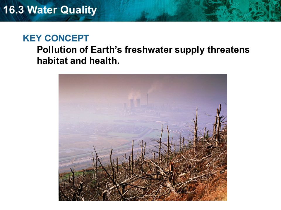 KEY CONCEPT Pollution of Earth’s freshwater supply threatens habitat and health.