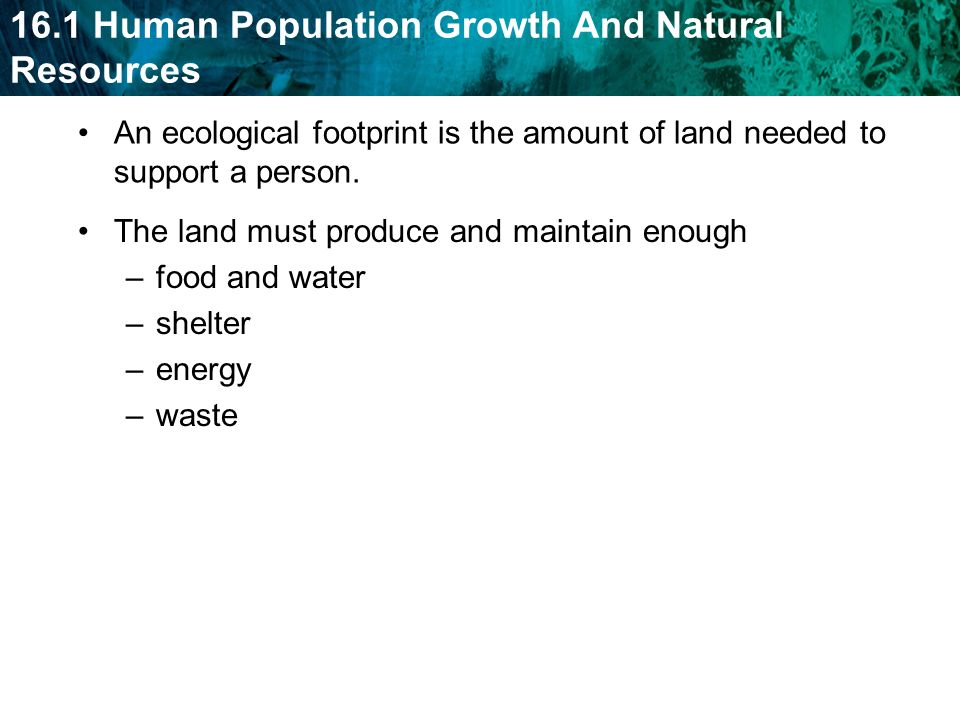 An ecological footprint is the amount of land needed to support a person.