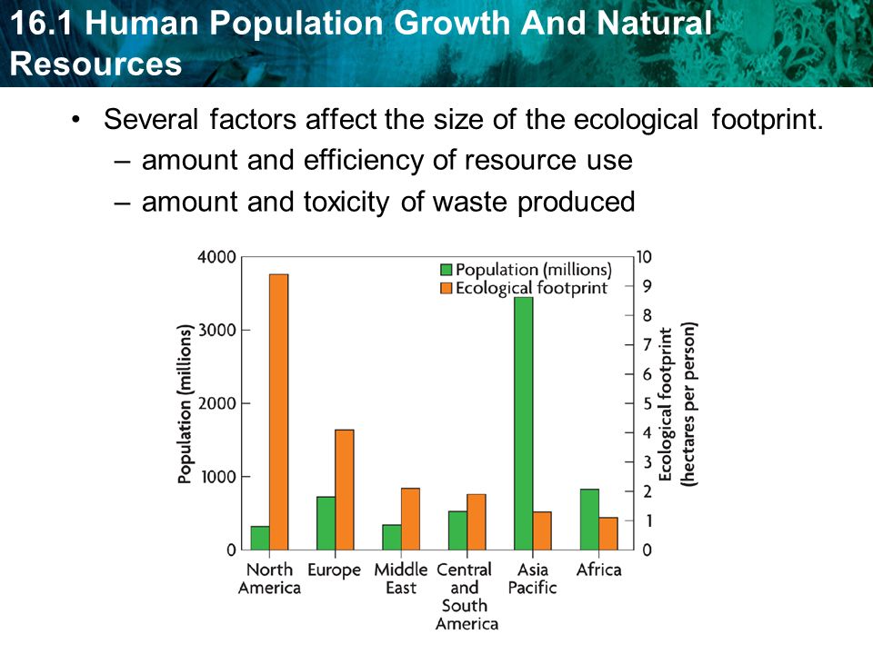 Several factors affect the size of the ecological footprint.