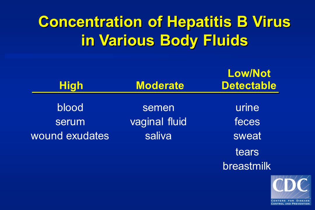 Concentration of Hepatitis B Virus