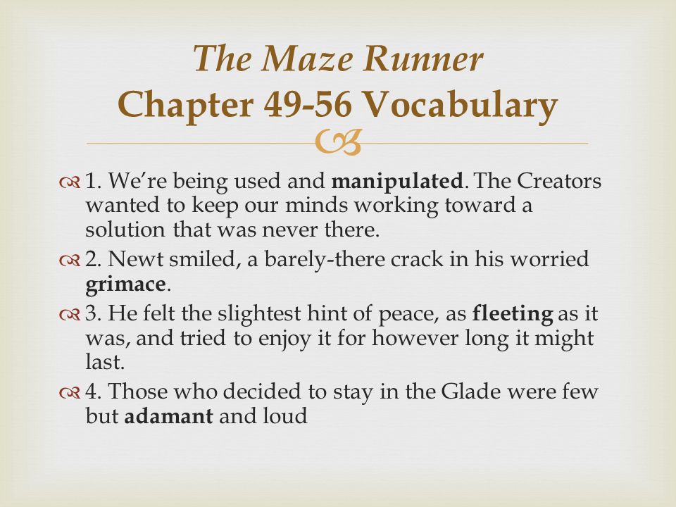 Chapter 3 - Maze Runner