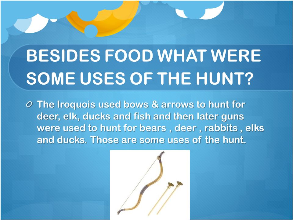 BESIDES FOOD WHAT WERE SOME USES OF THE HUNT
