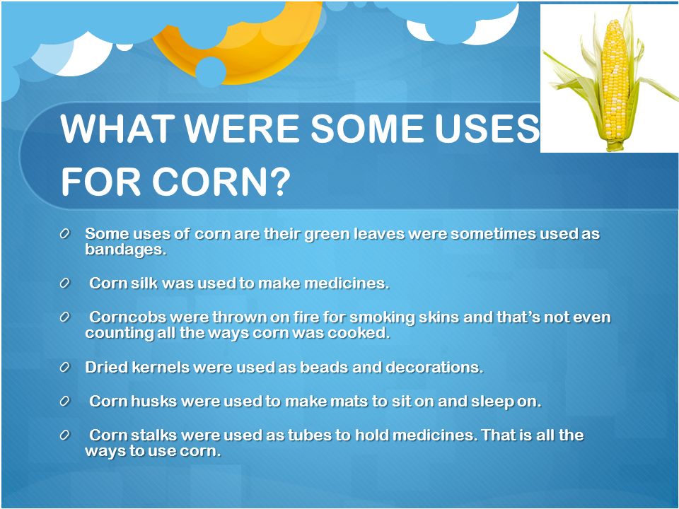 WHAT WERE SOME USES FOR CORN