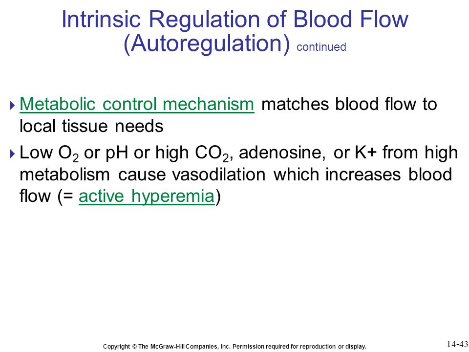 Intrinsic Regulation of Blood Flow (Autoregulation) continued
