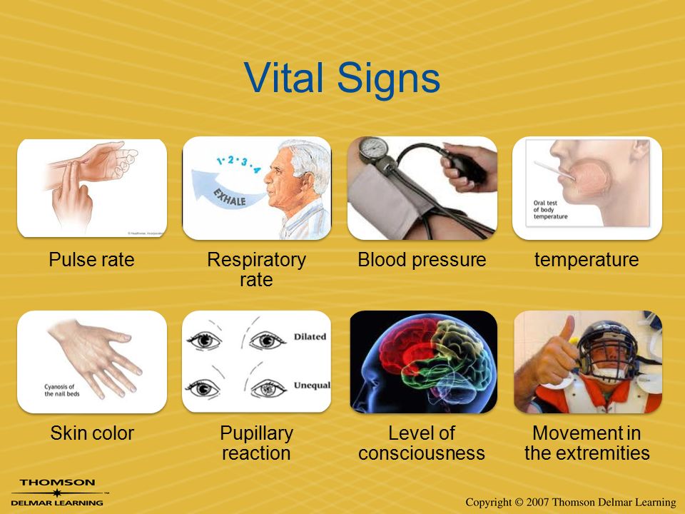 Vital Signs (Body Temperature, Pulse Rate, Respiration Rate, Blood