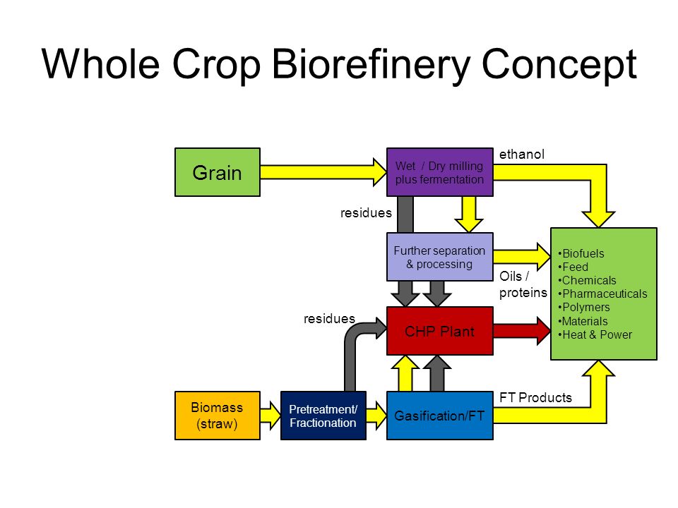 Whole Crop Biorefinery Concept