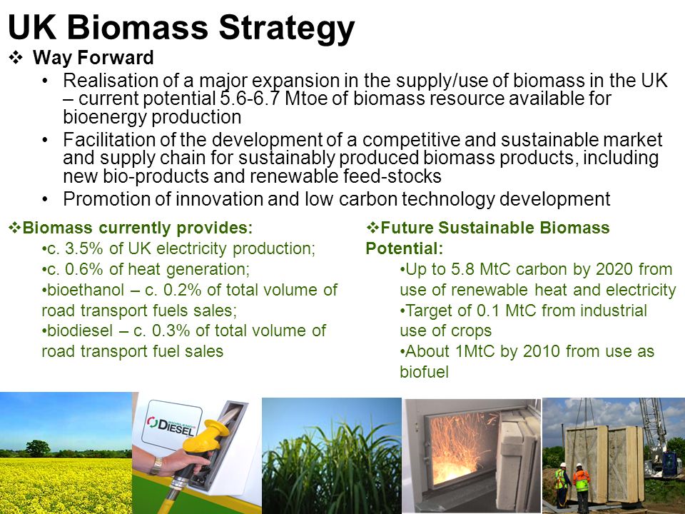 UK Biomass Strategy Way Forward
