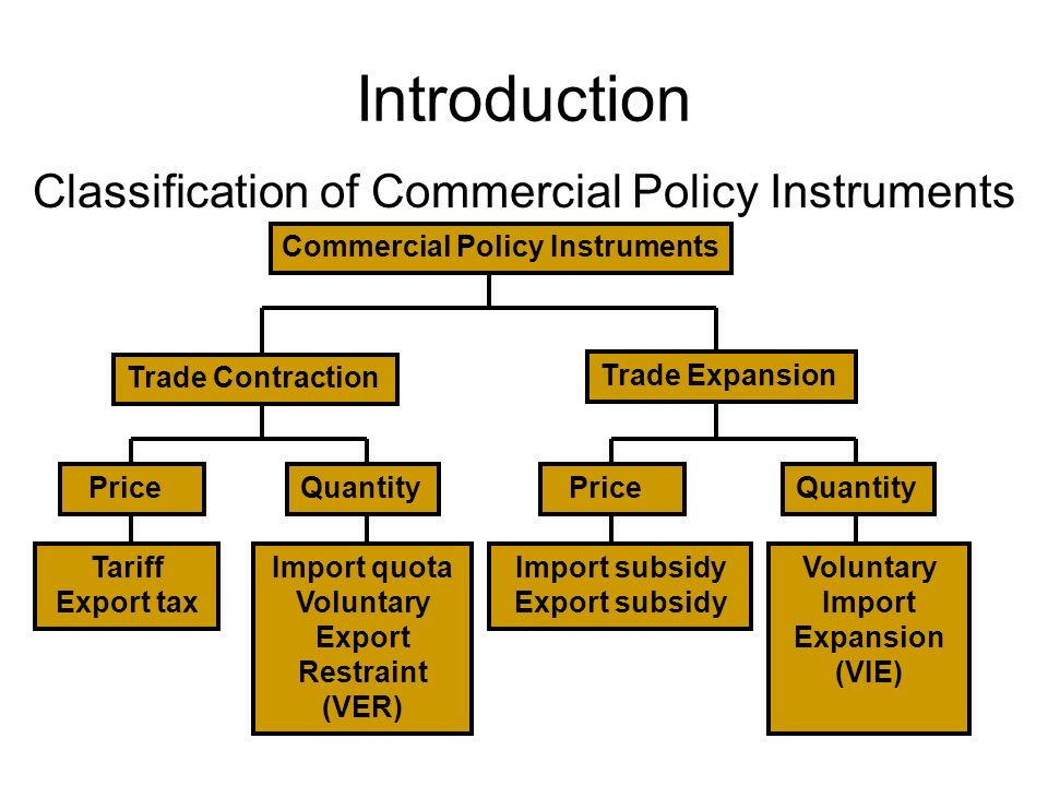 Instruments of Trade Policy - ppt video online download