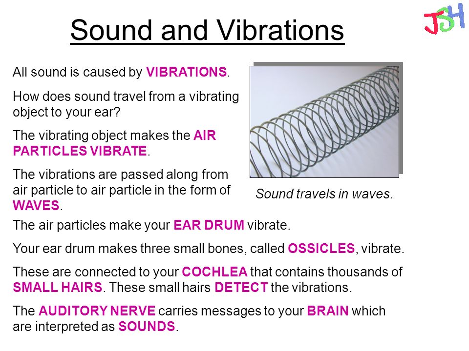 Sound Vibrations Loudness Pitch and frequency Echoes. - ppt video online  download