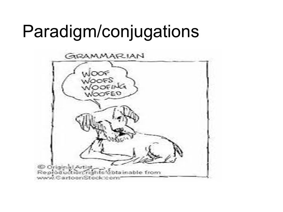Paradigm/conjugations