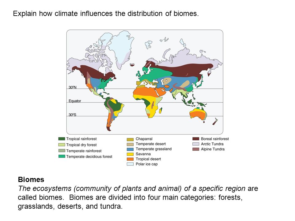 Explain how climate influences the distribution of biomes.
