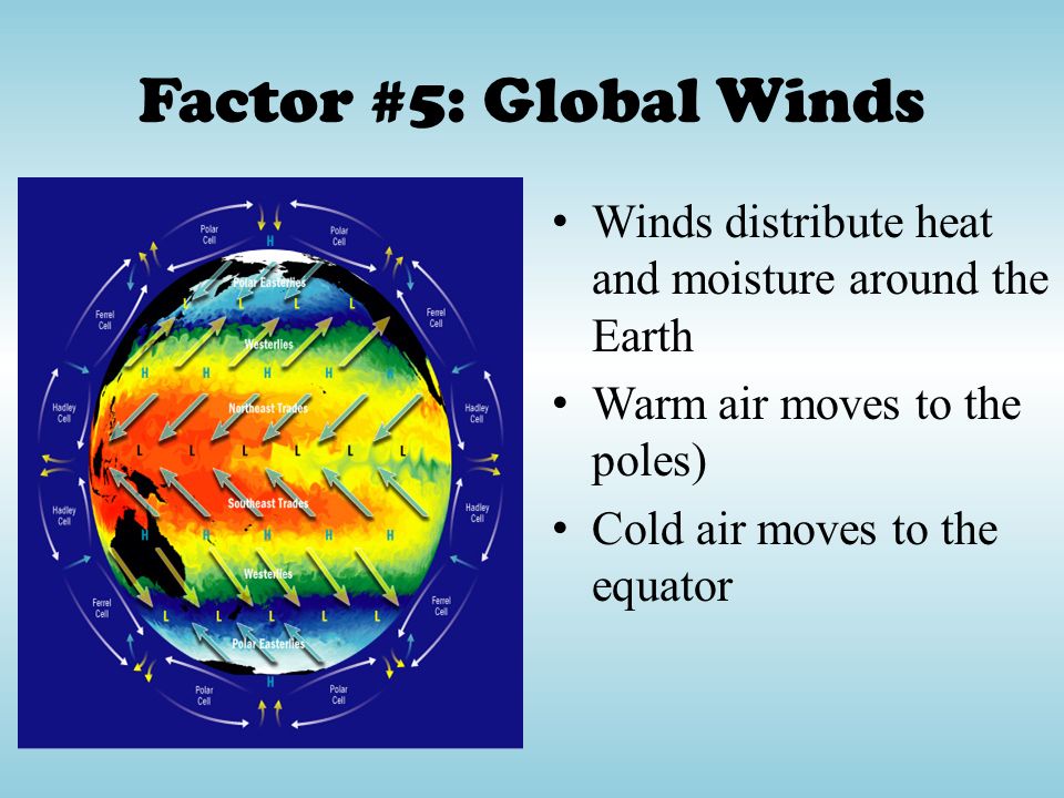 Factor #5: Global Winds Winds distribute heat and moisture around the Earth. Warm air moves to the poles)