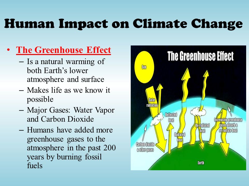Human Impact on Climate Change