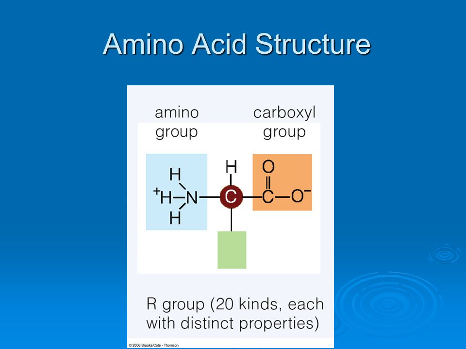 Chapter 3 Molecules of Life. - ppt video online download