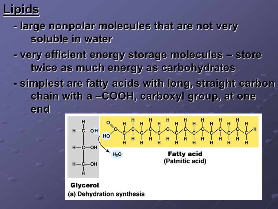 Lipids - large nonpolar molecules that are not very soluble in water