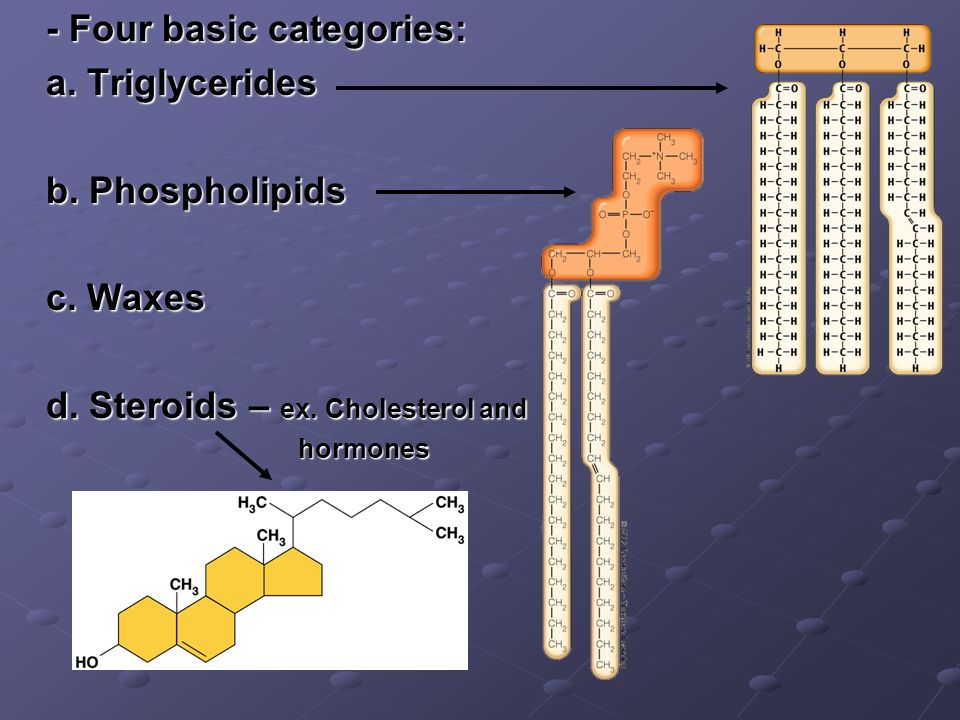 - Four basic categories: a. Triglycerides b. Phospholipids c. Waxes