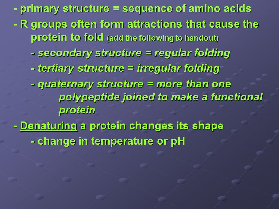 - primary structure = sequence of amino acids