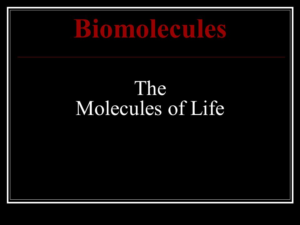 Biomolecules The Molecules of Life
