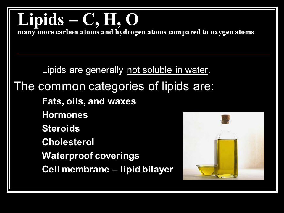 Lipids – C, H, O many more carbon atoms and hydrogen atoms compared to oxygen atoms