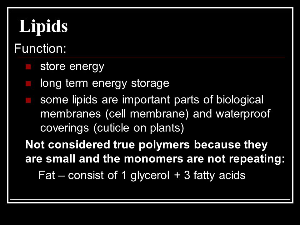 Lipids Function: store energy long term energy storage