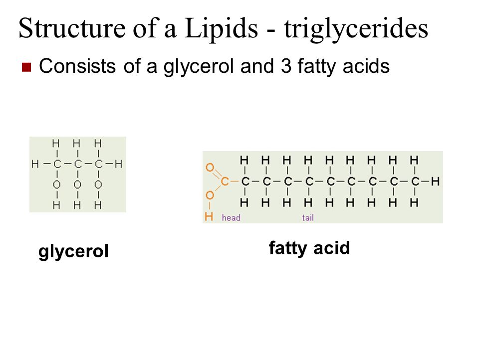 Structure of a Lipids - triglycerides