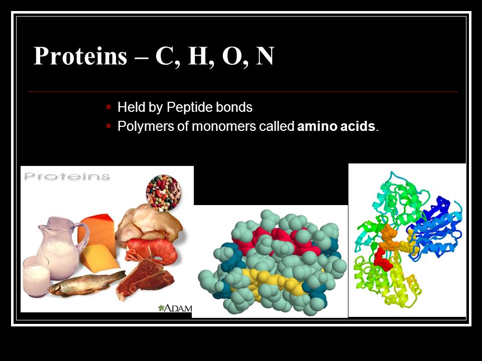 Proteins – C, H, O, N Held by Peptide bonds