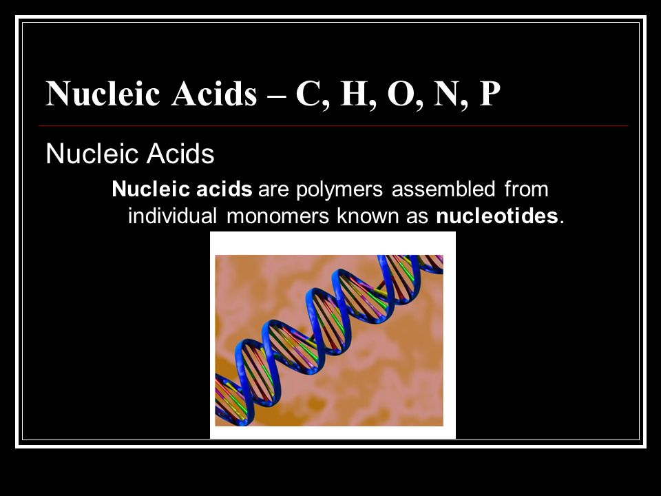 Nucleic Acids – C, H, O, N, P Nucleic Acids